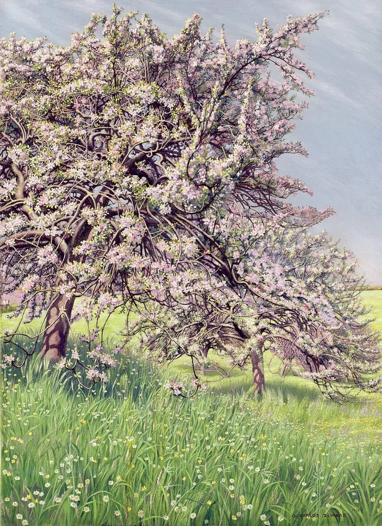 Meli fioriti, 1912